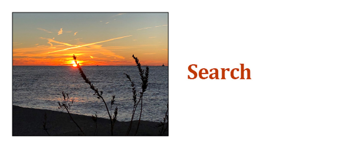 Chicago Writers Association Search