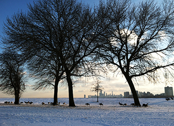 Montrose Harbor